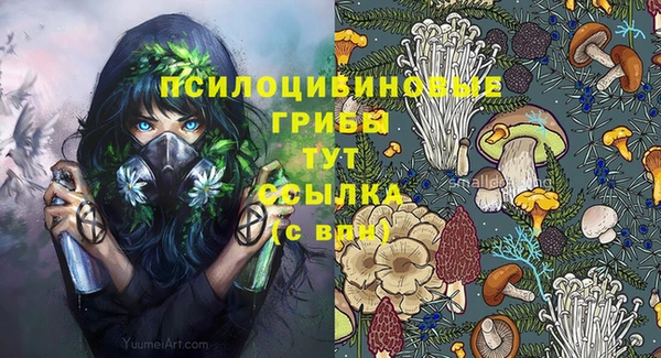 mdpv Верхний Тагил